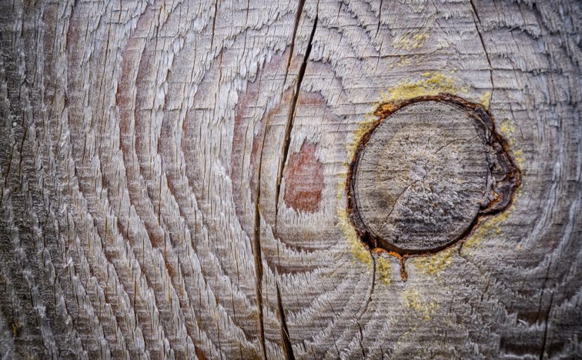 Tartak – Źródło Doskonałego Drewna: Buduj Z Pasją i Odpornością.